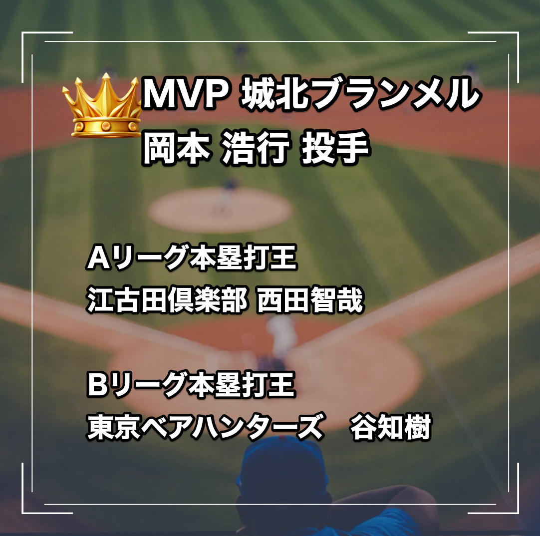 2025プレーオフ 2025プレーオフ